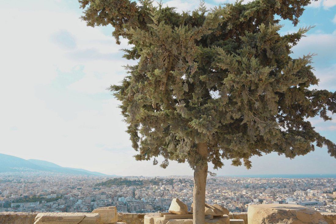 Atenas — foto 2
