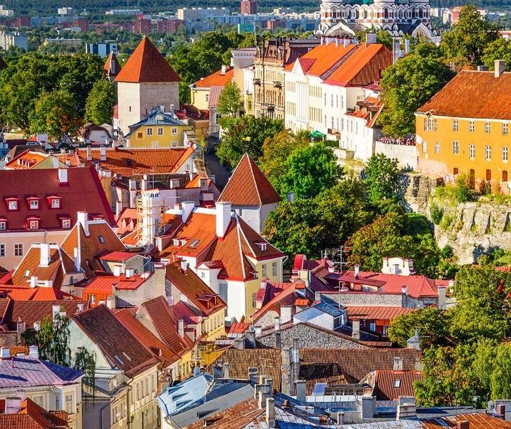 Tallin