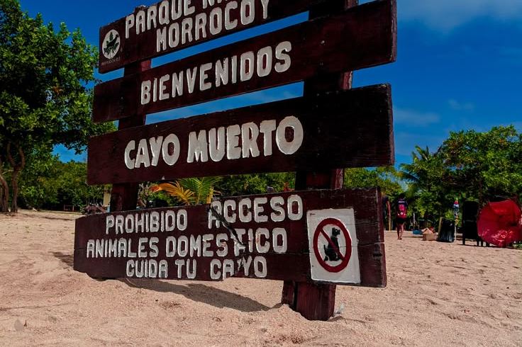 Morrocoy — foto 1