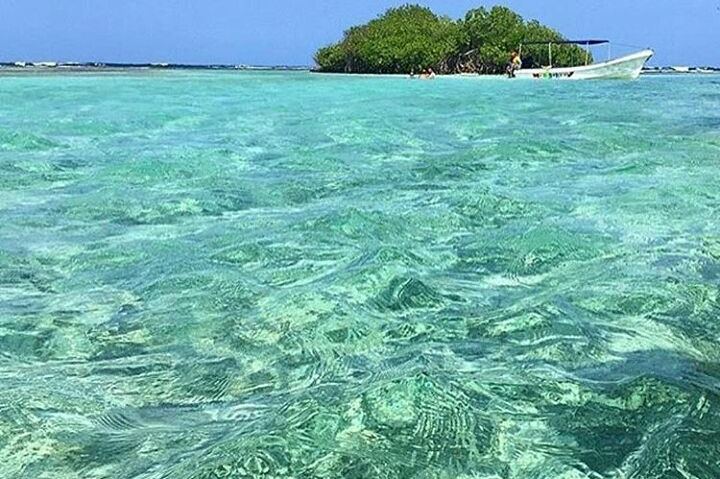 Morrocoy — foto 6