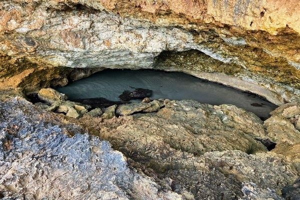 Tour en todoterreno con piscina natural de Aruba (medio día).